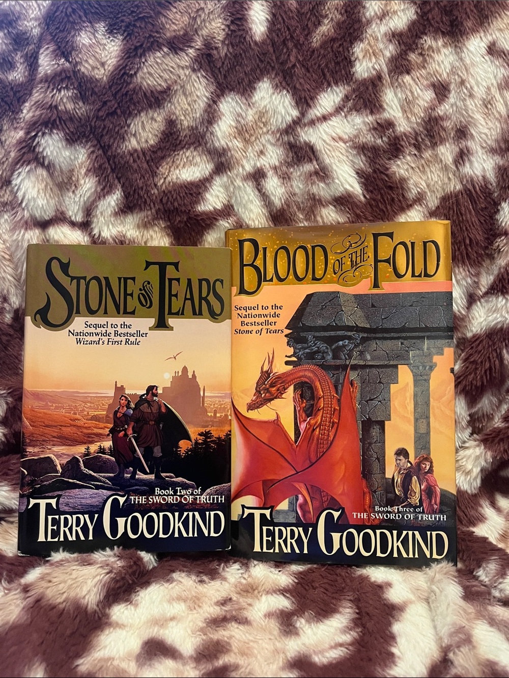 Stone of Tears & Blood of the Fold - the sword of truth series by Terry Goodkind